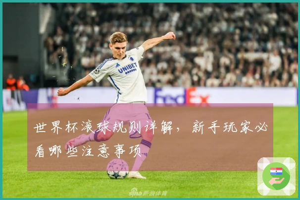 世界杯滚球规则详解，新手玩家必看哪些注意事项