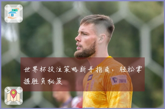 世界杯投注策略新手指南，轻松掌握胜负秘笈