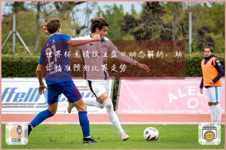 世界杯竞猜投注盘口动态解析，助你精准预测比赛走势