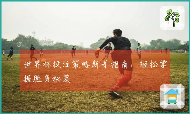 世界杯投注策略新手指南，轻松掌握胜负秘笈