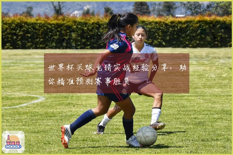 世界杯买球竞猜实战经验分享，助你精准预测赛事胜负