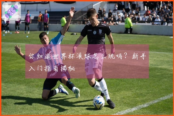 你知道世界杯滚球怎么玩吗？新手入门指南揭秘