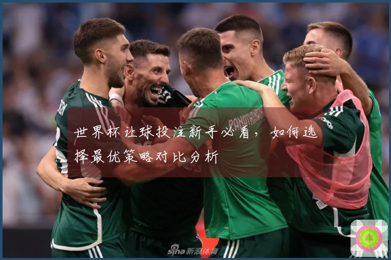 世界杯让球投注新手必看，如何选择最优策略对比分析