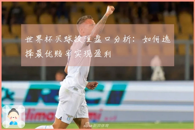 世界杯买球投注盘口分析：如何选择最优赔率实现盈利