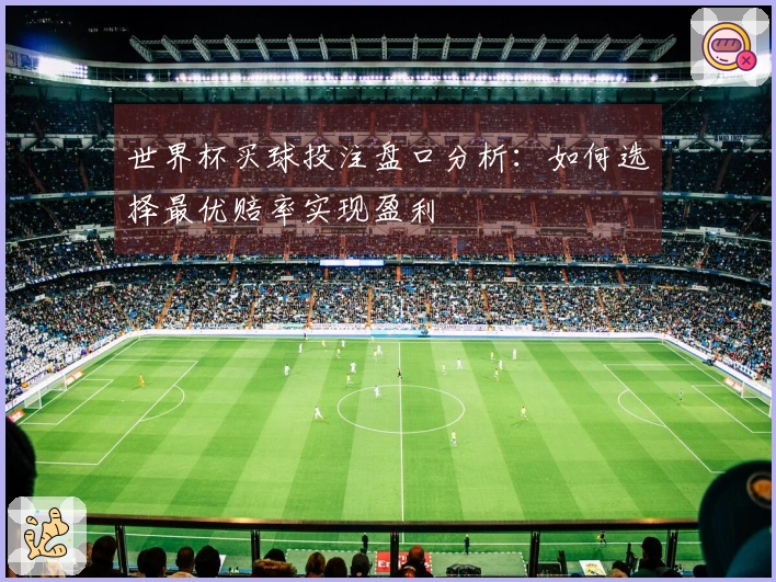 世界杯买球投注盘口分析：如何选择最优赔率实现盈利