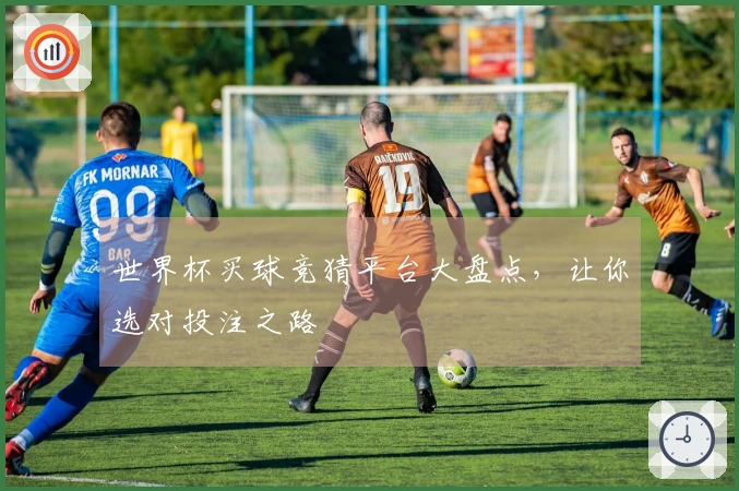 世界杯买球竞猜平台大盘点，让你选对投注之路